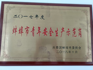 荣誉资质