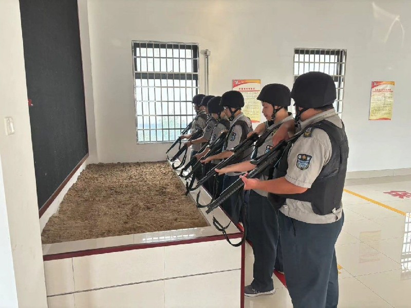 武装押运2
